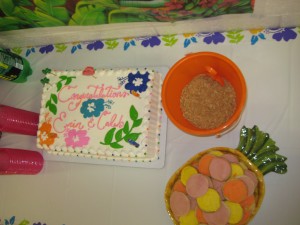 Cake and yummy desserts