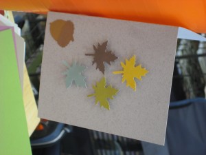 Testing Testing Out the New Fall Punches!