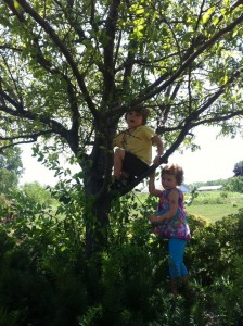 Kids Tree