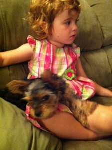 Jena with Yorkie