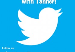 How to get more twitter followers how to twitter