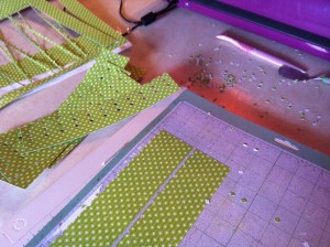 Cricut Rosettes