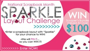NSM---SPARKLE-Challenge