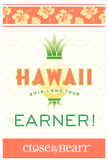 I Earned Hawaii!