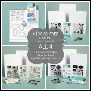 Buy 4 Get $100 Free