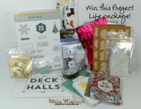 ProjectLifePackage