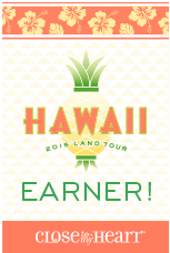 Hawaii Earner
