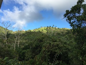 IMG_9169
